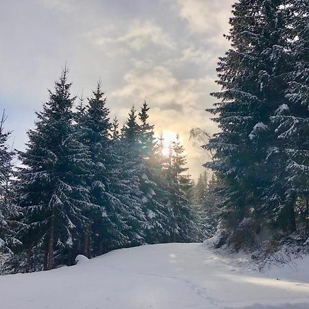 Almland Huette Villa Pusterwald Екстериор снимка