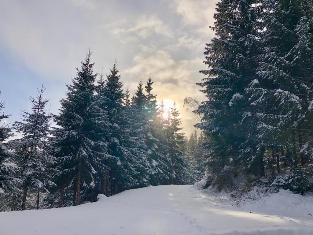 Almland Huette Villa Pusterwald Екстериор снимка